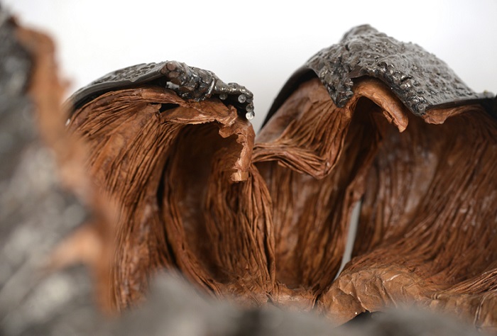 ����� - �����